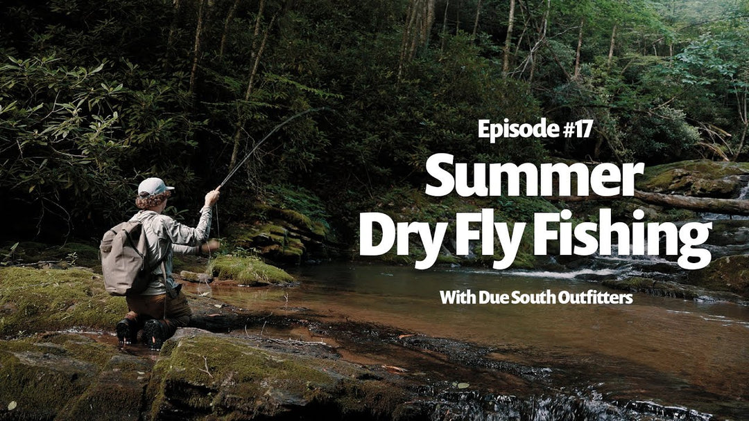 #17 The Brood X Cicada Hatch, Summer Dry Fly Fishing & the Toxicity of Social Media