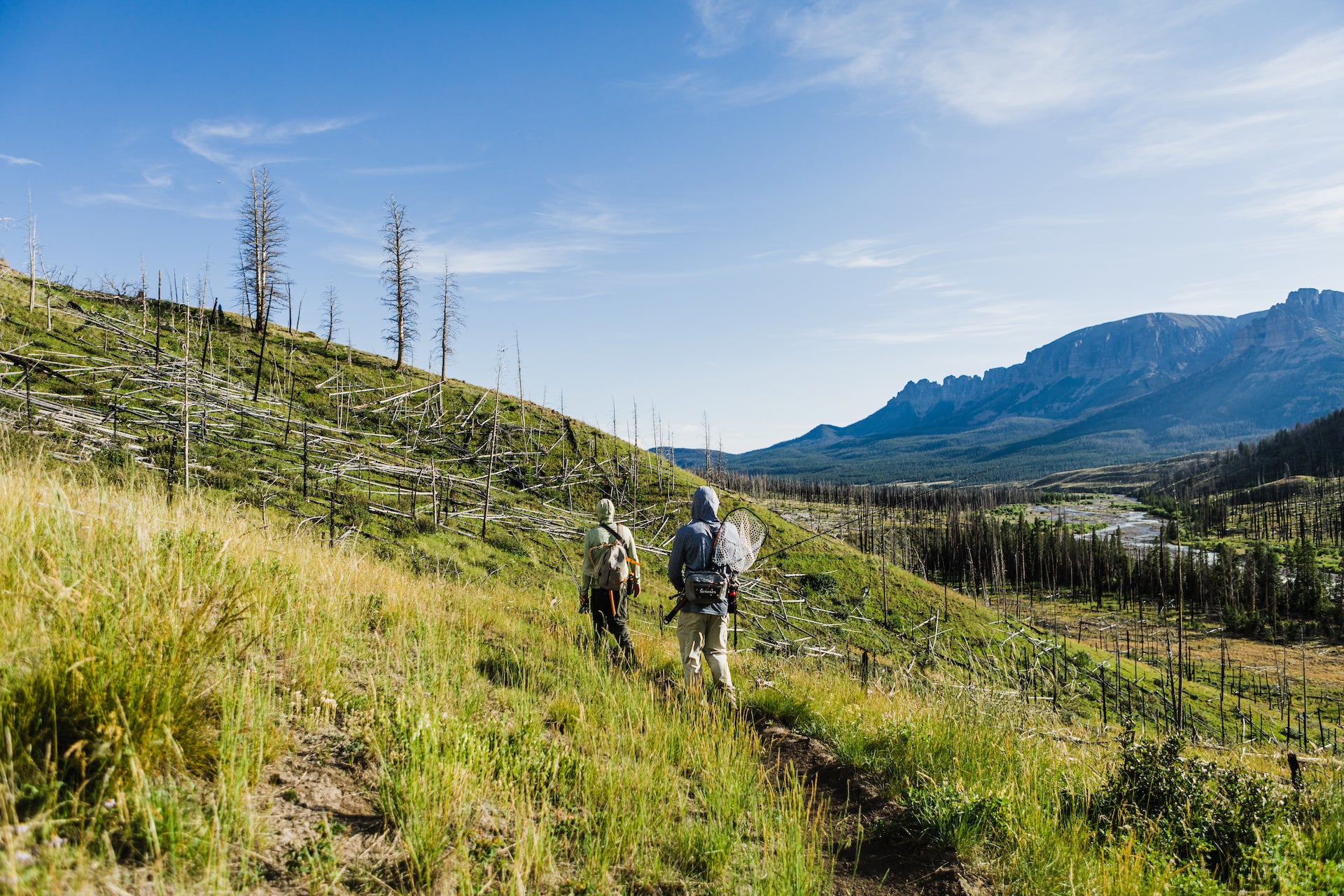 Wild Fly X Tight Loops