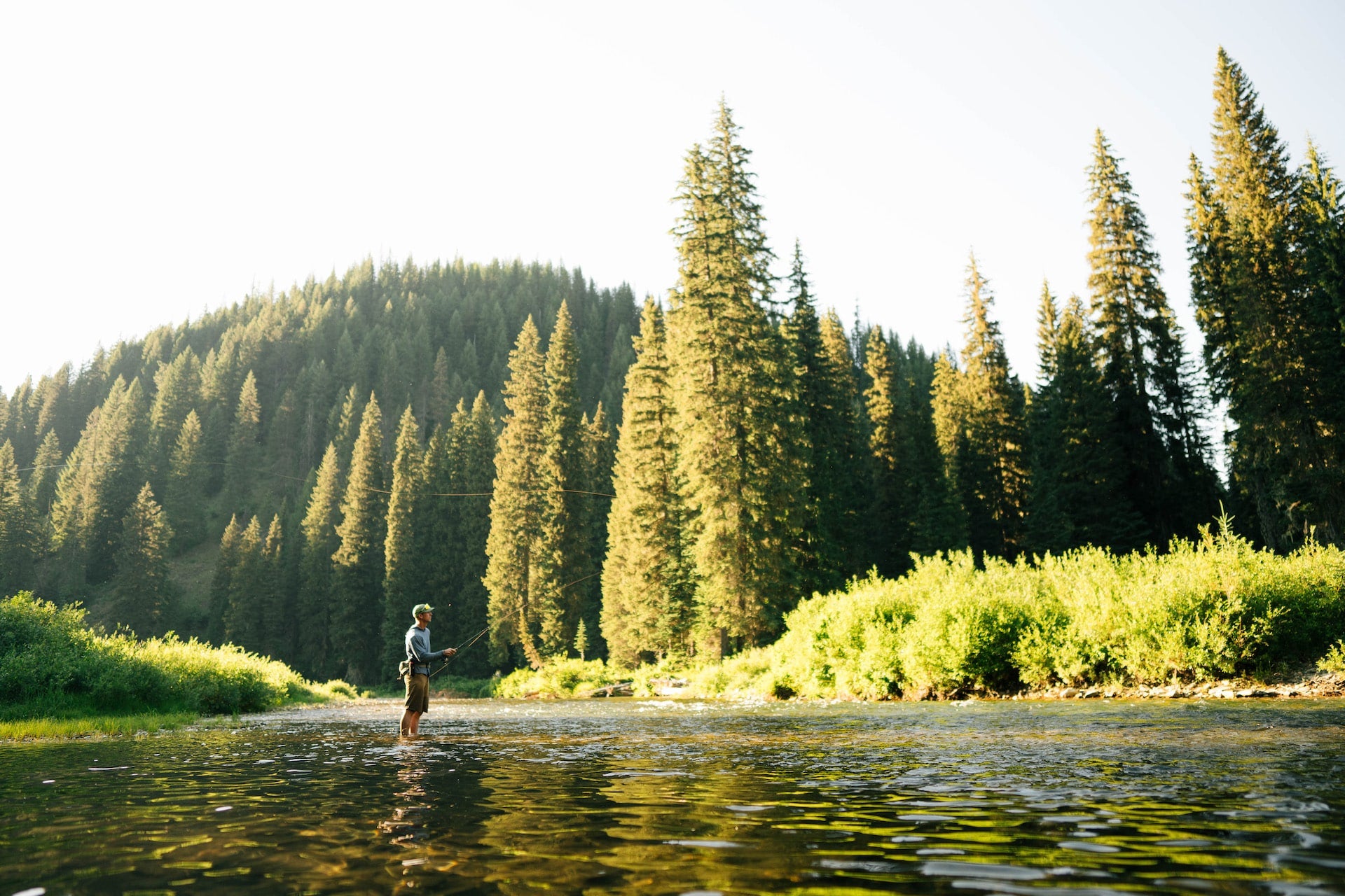 About Wild Fly Wild Fly Productions about-wild-fly-wild-fly-productions