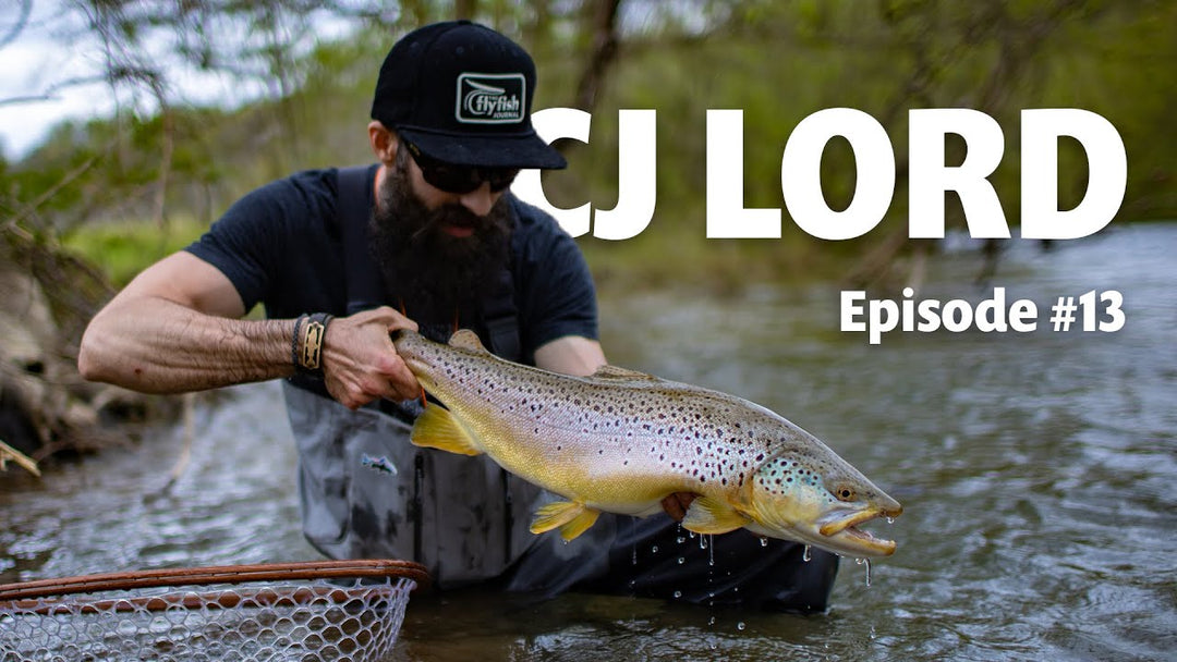 #13 CJ Lord | Secrets to Targeting Big Brown Trout, Streamer Fishing, & Fish Photography