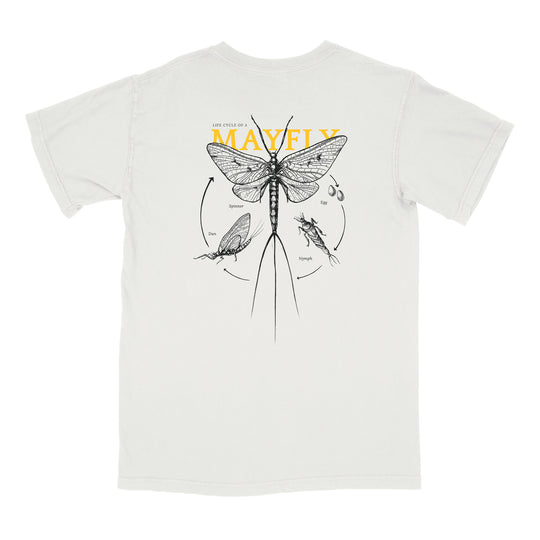 Lifecycle Tee - Oatmeal Heather